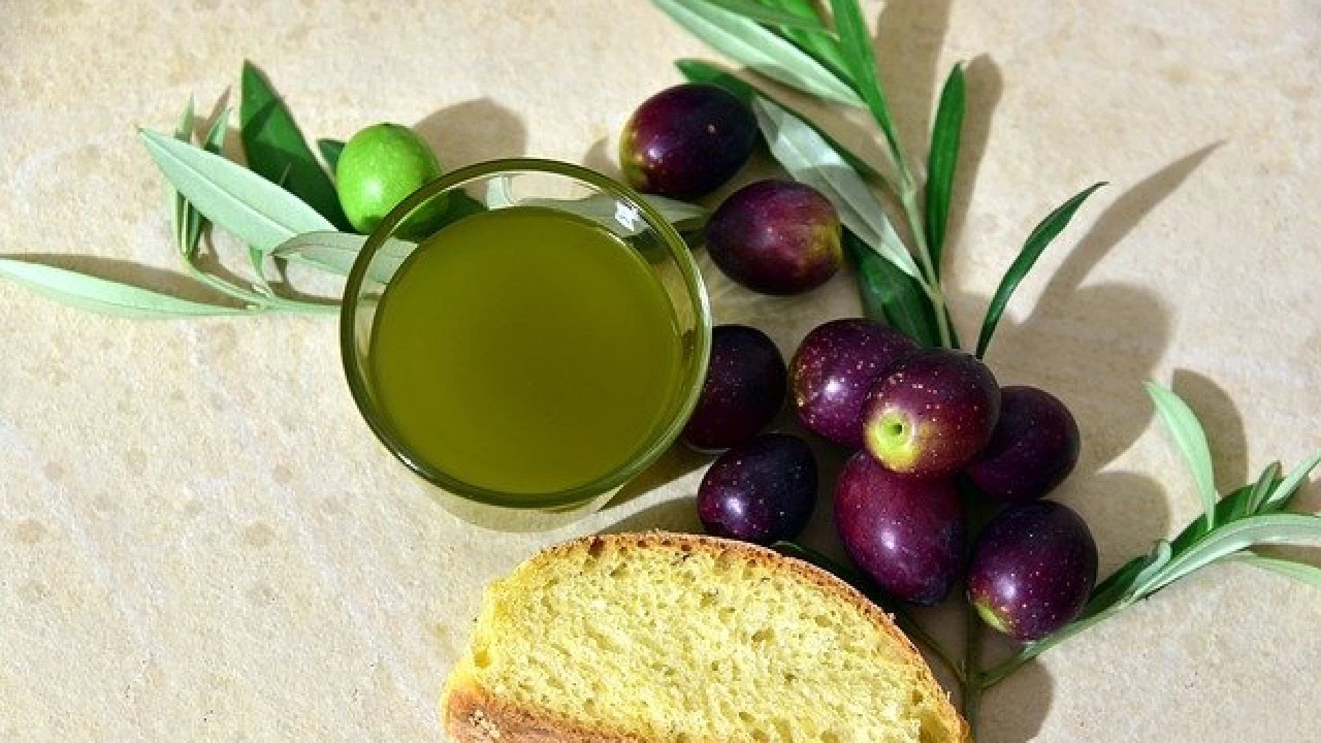 La cricca dei concorsi oleari e le colpe di olivicoltori e frantoiani